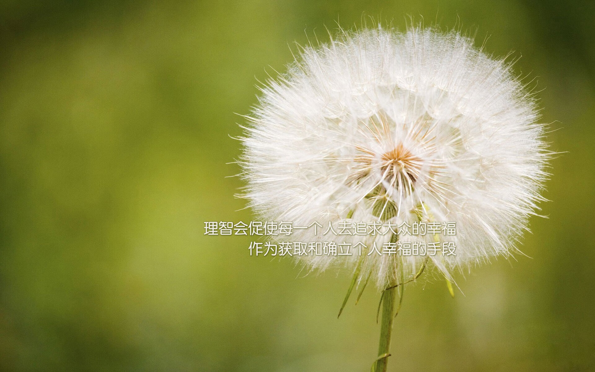 米切尔跨队统治,当骑士王牌在湖人猛龙之战中定义比赛