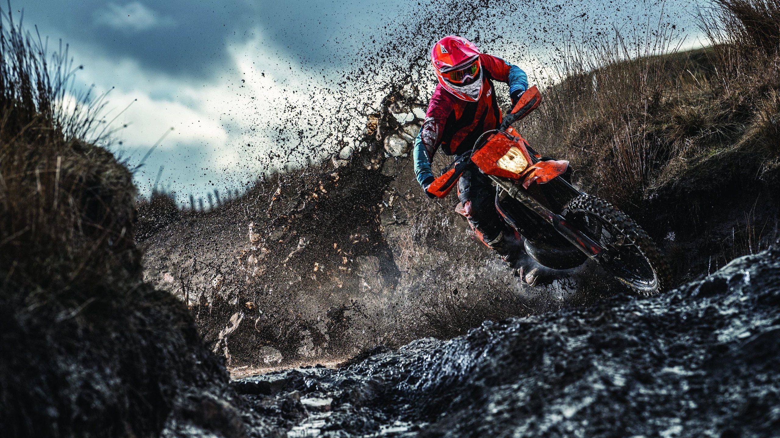 巴黎之夜,绝杀与尖叫,足球与乒乓的跨界回响